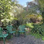 -the Garden -