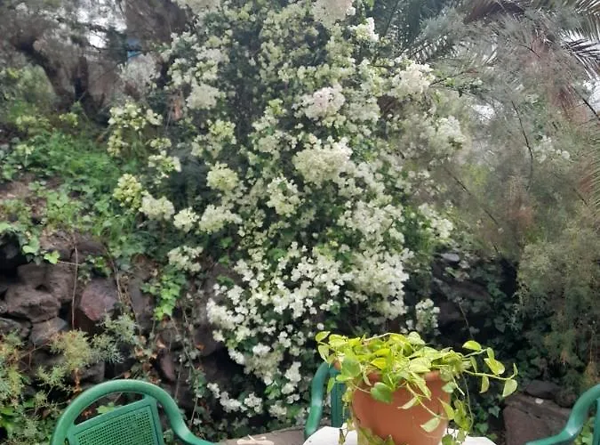 Lägenhet -the Garden - Las Palmas de Gran Canaria