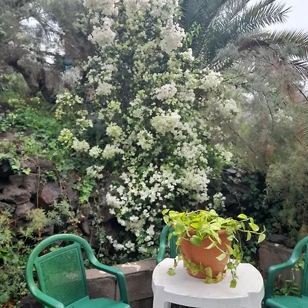 Apartamento -the Garden - Las Palmas de Gran Canaria