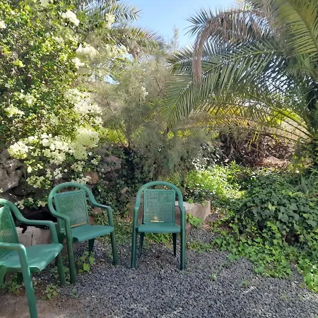 -the Garden -